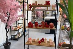 image4-e1769710321676