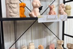 image8-e1769710244937