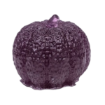 554A0013-removebg-preview