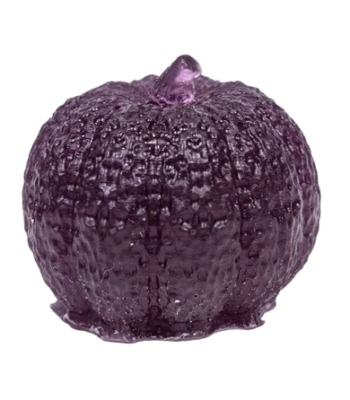 554A0013-removebg-preview