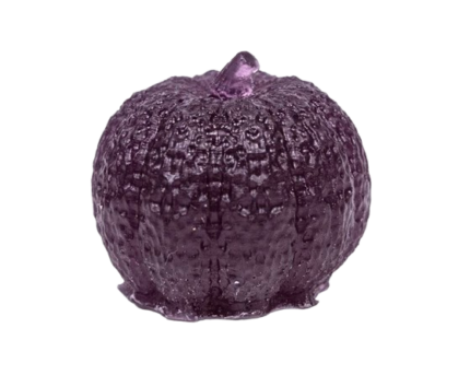 554A0013-removebg-preview