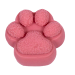 554A0026-removebg-preview