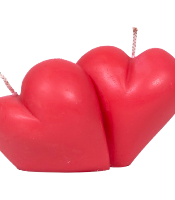 554A5324_copy-removebg-preview