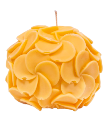 554A3299-removebg-preview