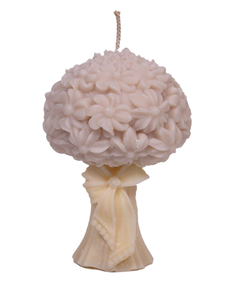 K_A_6489 copy K A 6489 copy