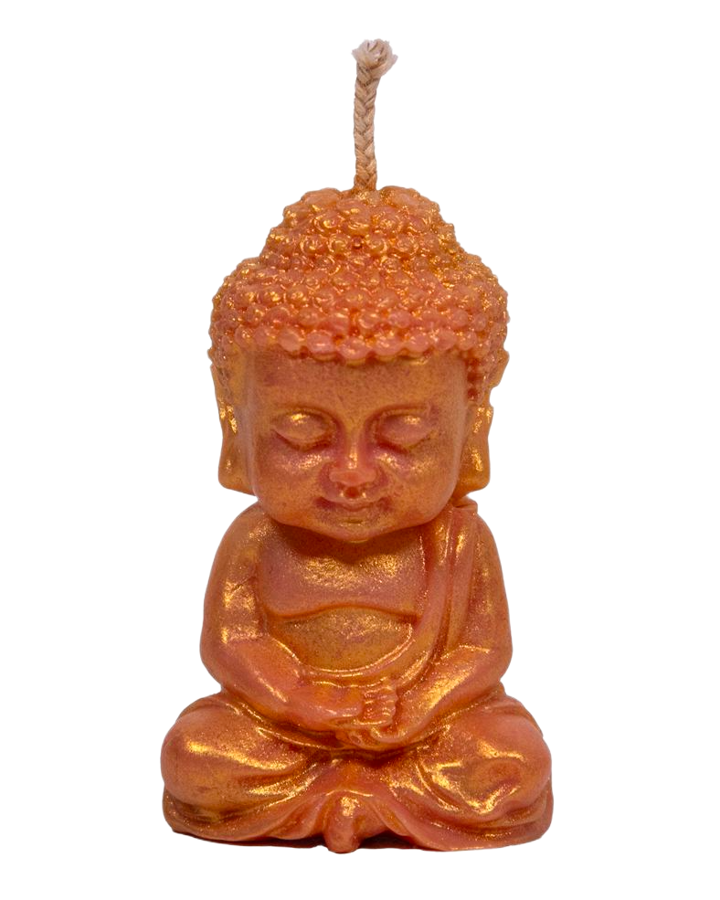 K_A_6495 copy K A 6495 copy